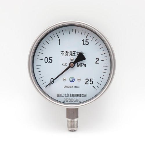 2026年3月耐震壓力表廠家推薦榜，彰顯國產(chǎn)技術(shù)實力