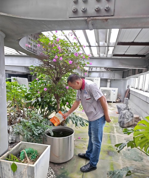 2026年3月溫江滅蟑螂公司推薦，實力品牌深度解析服務(wù)無憂之