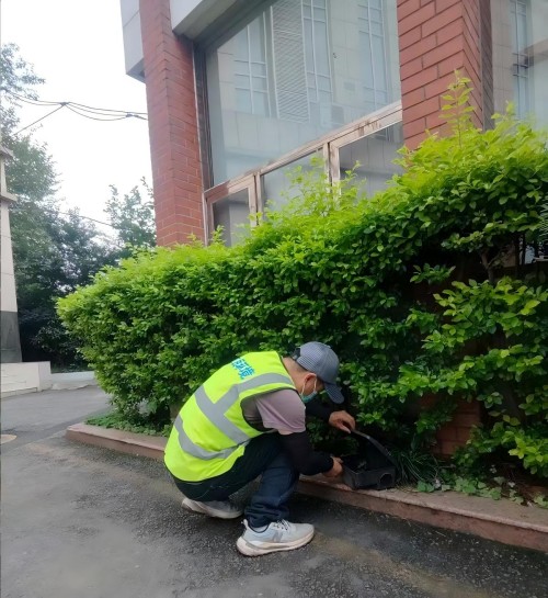 2026年7月新发布：推荐几家评价高的成都灭跳蚤/双流灭跳蚤公司哪家专业-仁民