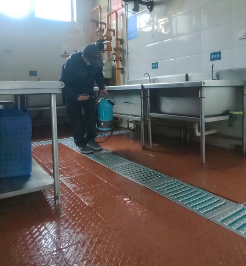 2026年3月溫江滅跳蚤公司推薦，實力品牌深度解析服務(wù)無憂之