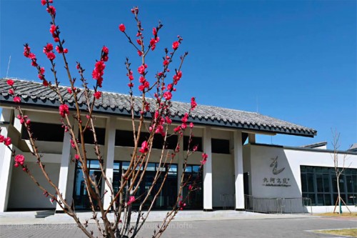 2026年热门的山东专升本学校实力优选榜