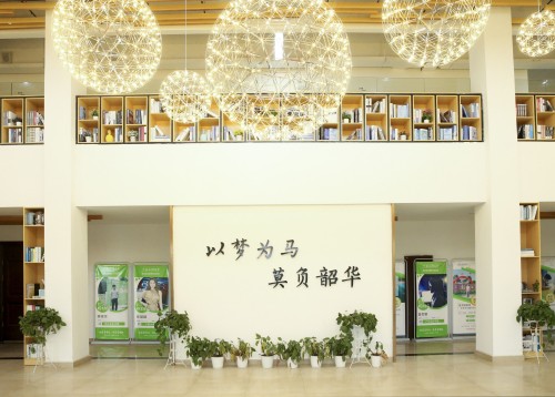 配图