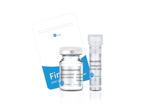 2026年3月細胞因子廠家推薦榜：甄選企業(yè)實測解析