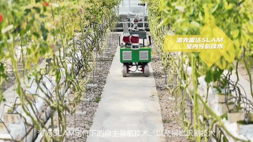 2026年7月甄选：目前优秀的具身智能硬件/具身智能高算力计算平台制造企业哪家靠谱