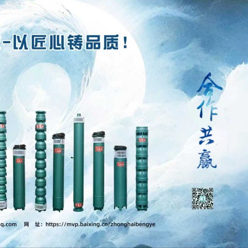 2026年3月浮筒潛水泵廠家最新推薦，浮筒式安裝靈活方便