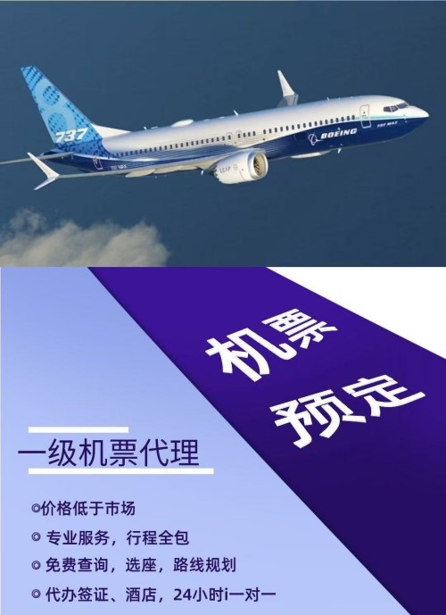 2026年3月国内到坦桑尼亚的签证代办机构推荐，售后完善全程