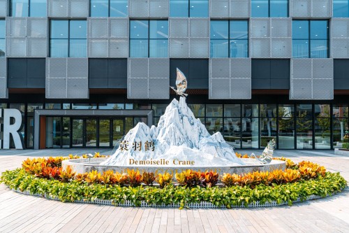 配图