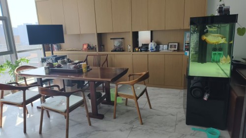 2026年3月浙江特种工程二级代办公司推荐，特种资质精准代办