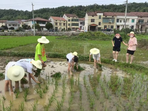 2026年7月焕新：岳阳知名的叛逆期引导/青少年心理疗愈疗愈中心实力解析