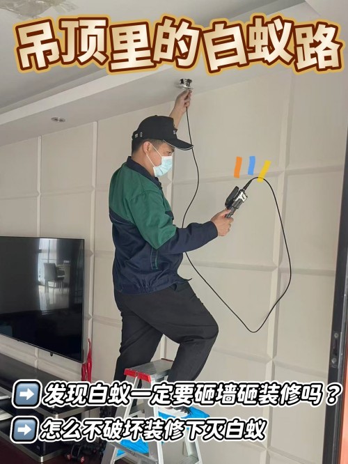 2026年7月优选：深圳有实力的灭蚊/白蚁灭治环境治理中心找哪家-志丰