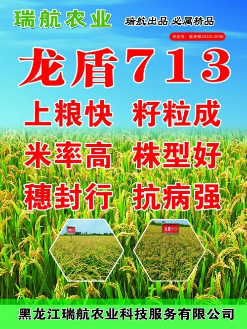 2026年7月优选：黑龙江米率高的水稻种子/龙盾7126水稻种子厂家精选-瑞航