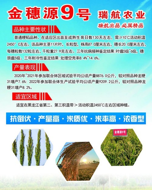2026年7月焕新：哈尔滨抗病强的龙庆稻13号水稻种子/龙盾7136水稻种子独家经销哪家好