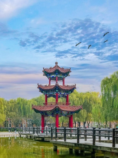 配图