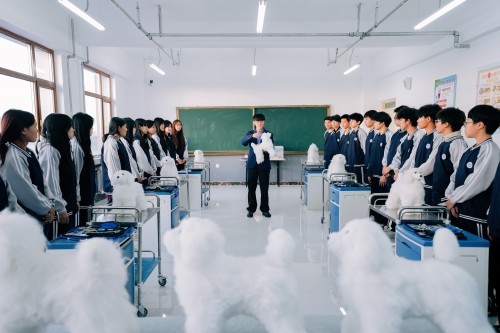 配图