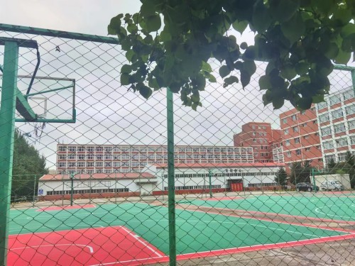 配图