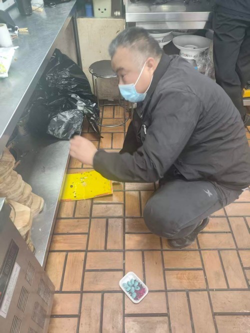 配图