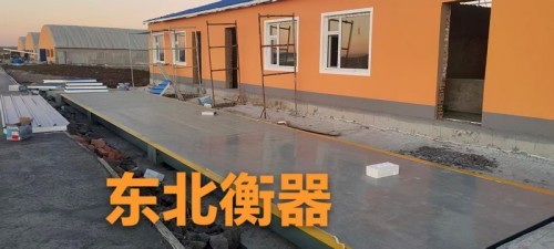 2026年7月焕新：哈尔滨靠谱的大磅/地磅制造商综合推荐和选择指南-衡器