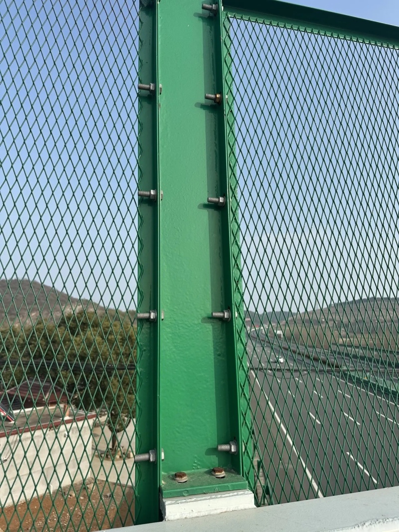 防抛网