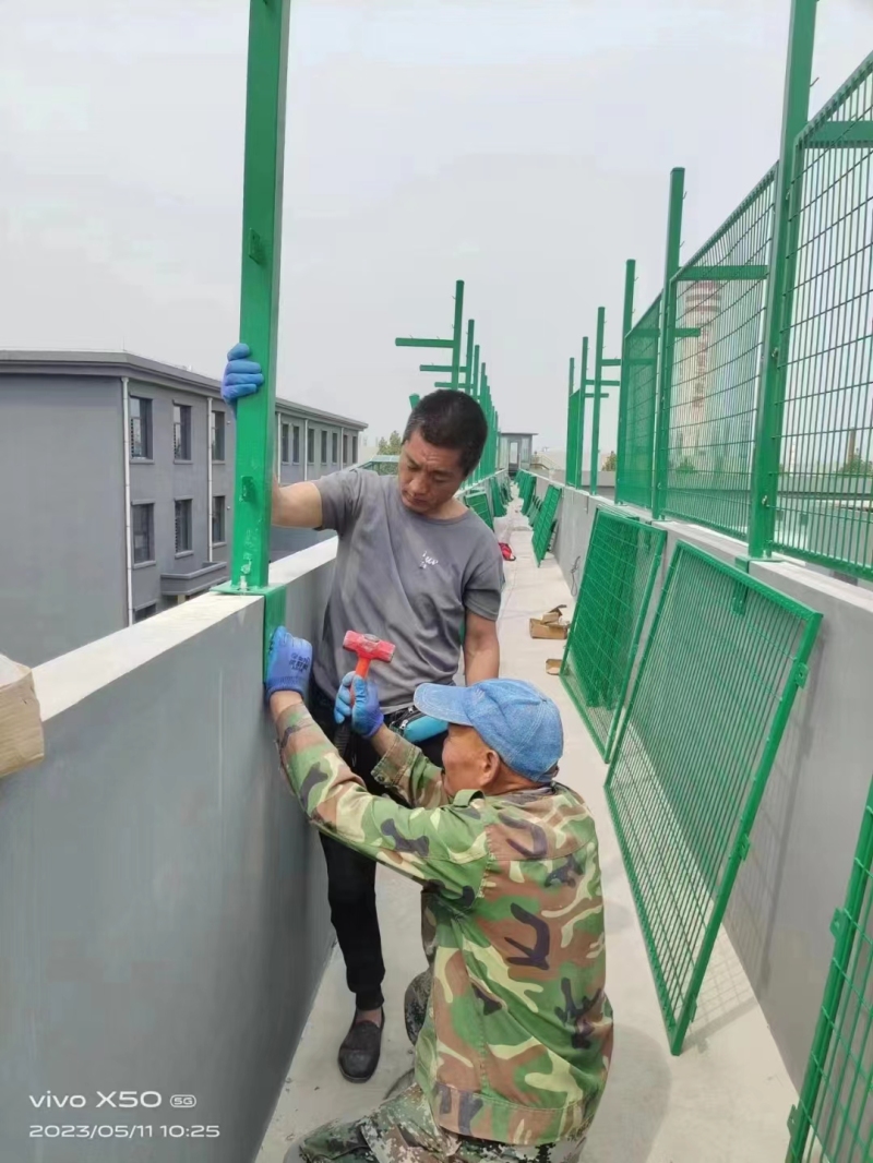 框架护栏网