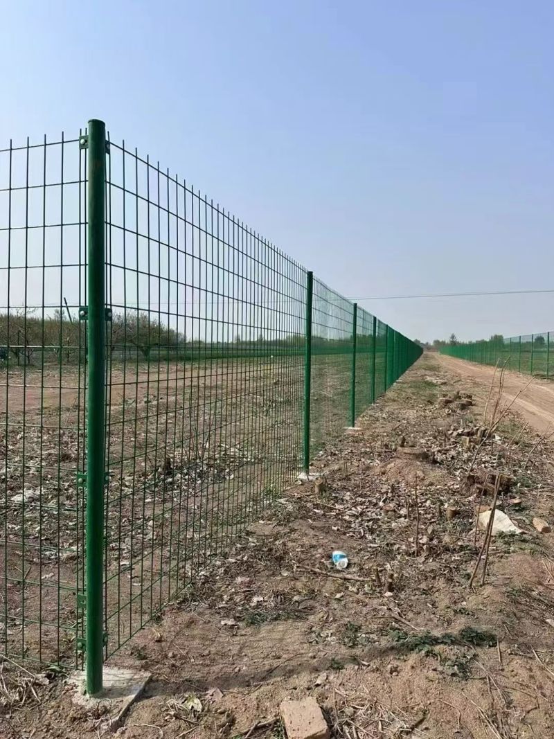 公路双边丝护栏网