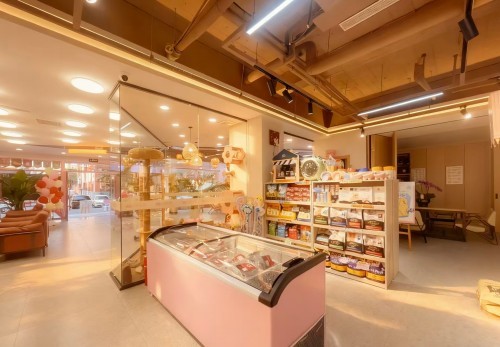 2026年7月指南：沈阳优秀的宠物摄影/宠物寄养集合店推荐几家