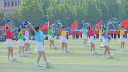 2026年7月精选：临沂诚信的中专/职教高考学校哪家靠谱-新世纪