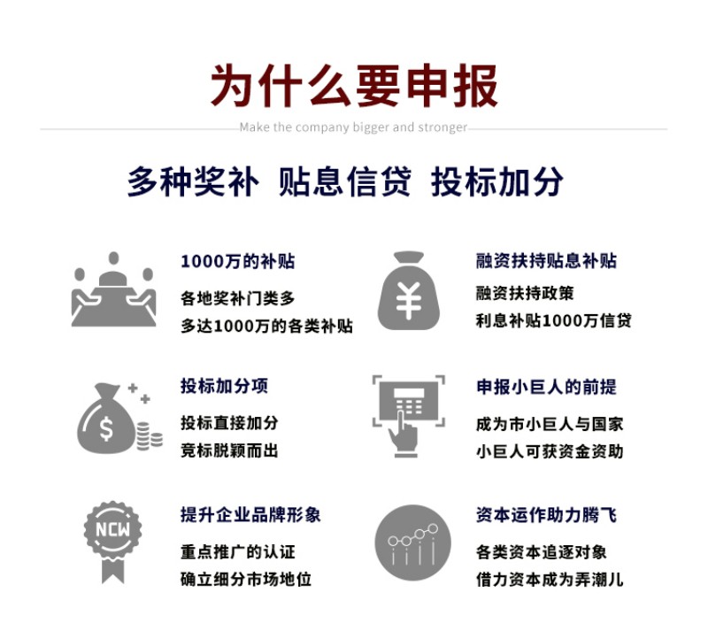 2026年3月小巨人申报机构，实力机构申报无忧