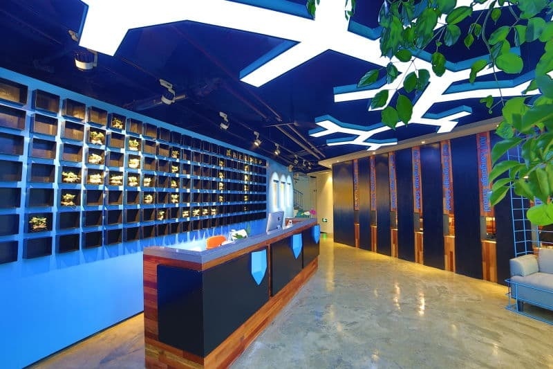 配图