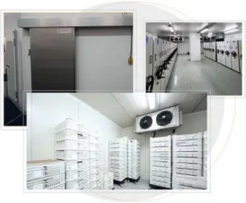 2026年正规的冷库机组,速冻冷库厂家采购选型榜单