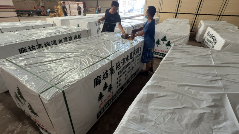 2026年2月河北清水模板公司推荐，高性能与可靠性兼具的优质