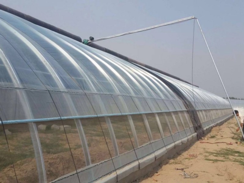 2026年玻璃温室大棚定制厂家推荐，高端温室工程专业厂商