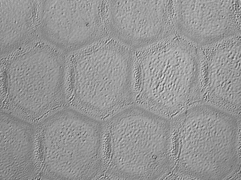 2026年3月退火設(shè)備廠家推薦榜：甄選企業(yè)實測解析