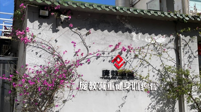 配图