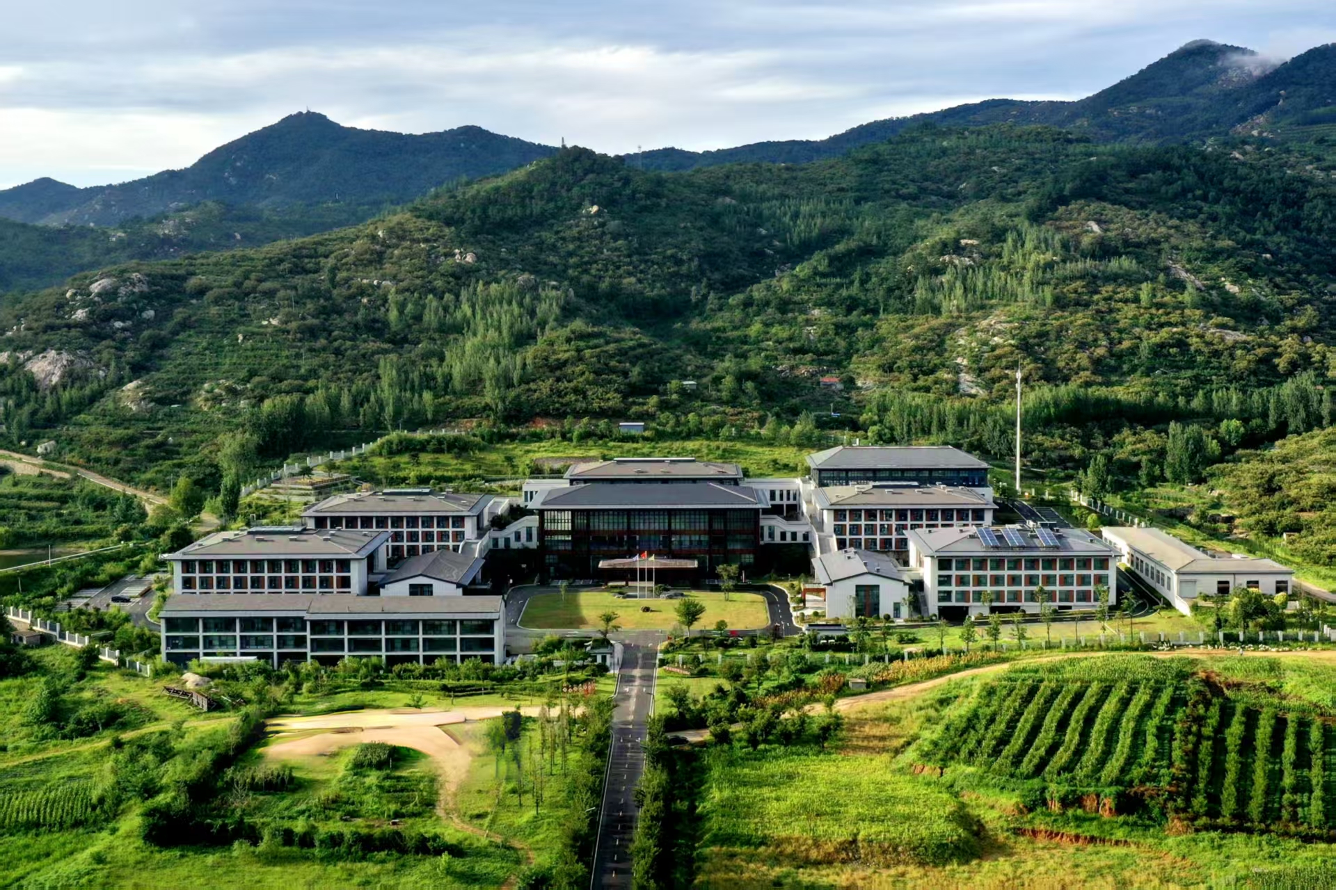 配图