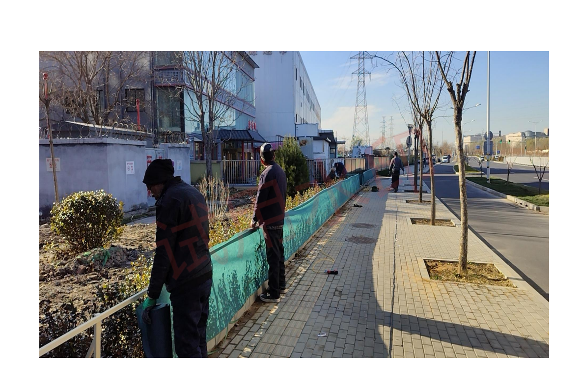 配图