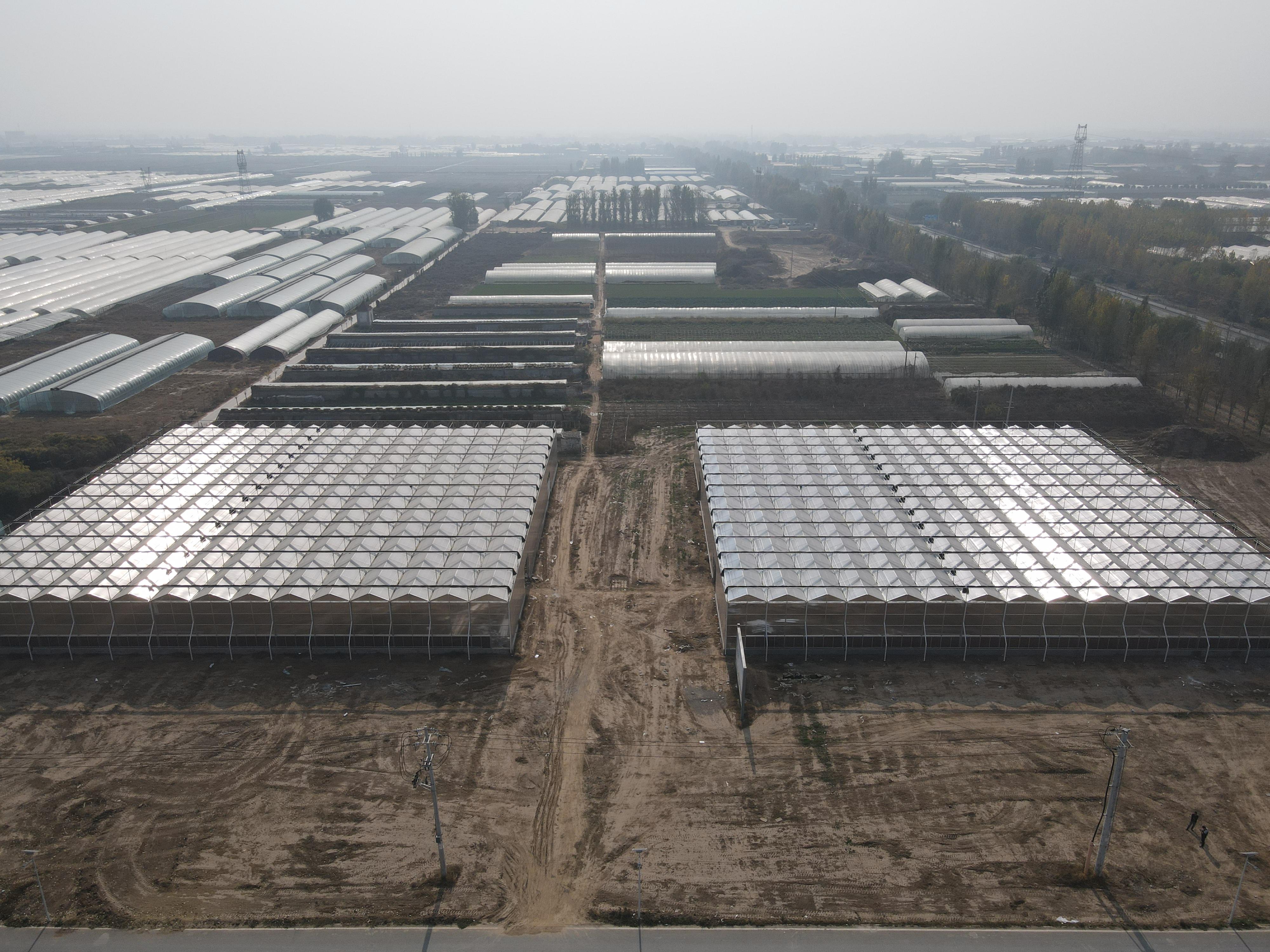 2026年7月新发布：潍坊优秀的自动开窗纹络玻璃温室/双层中空纹络玻璃温室公司实力盘点