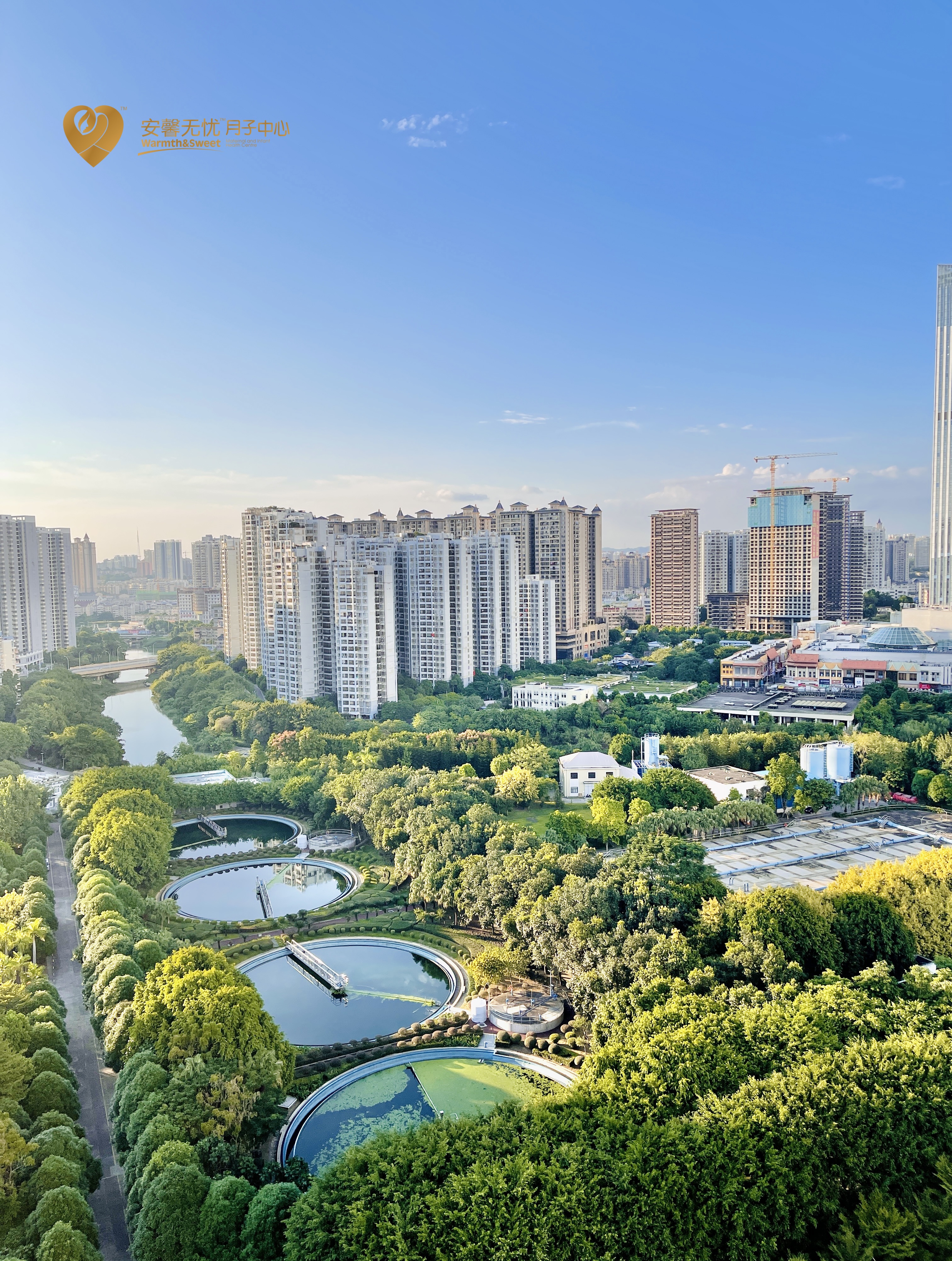配图