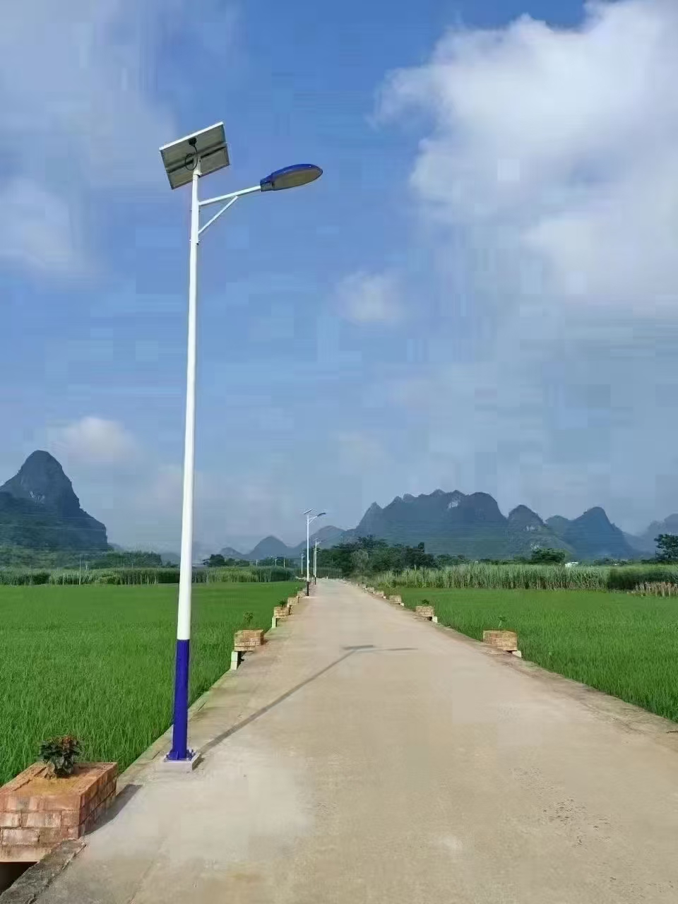 配图