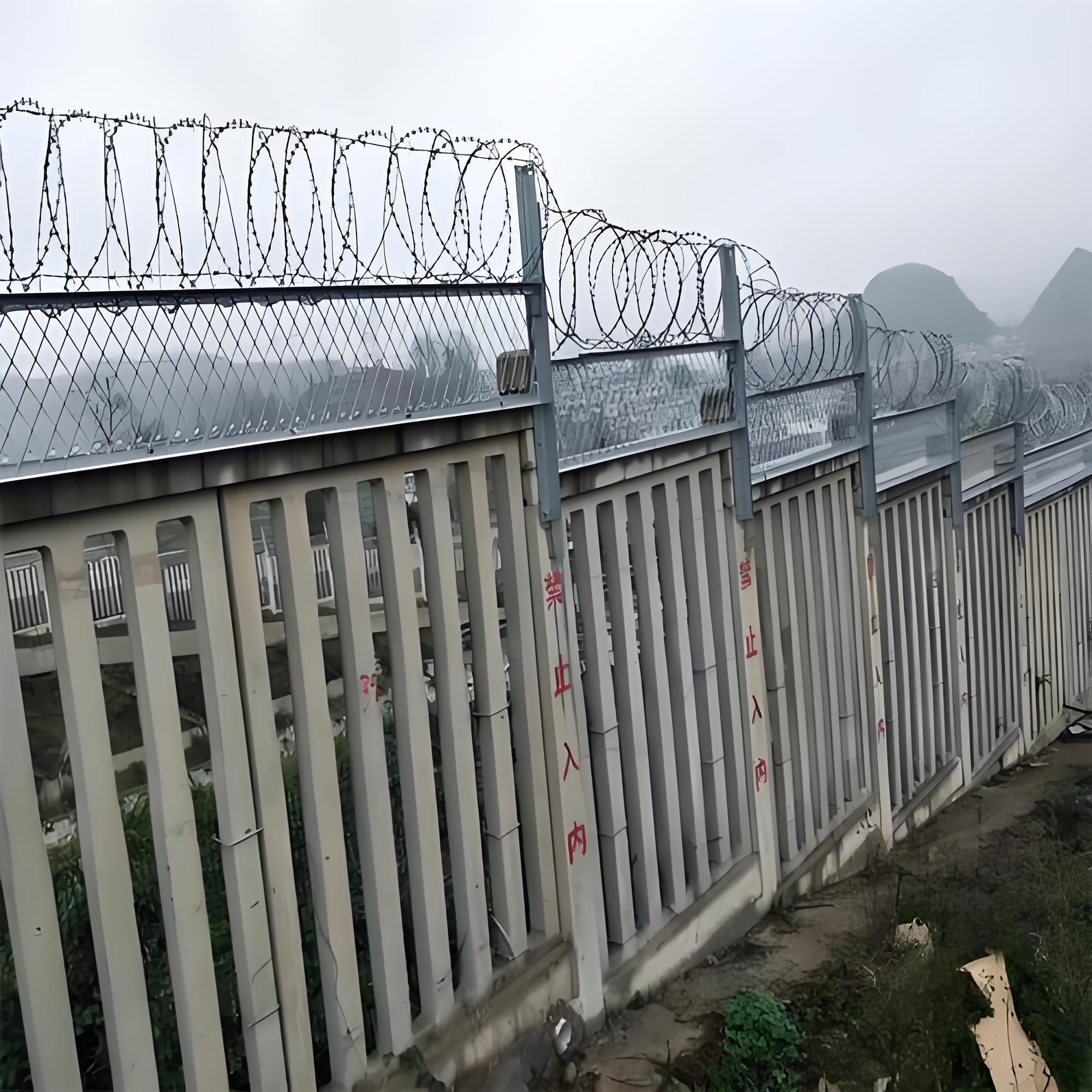 刀片滚笼3