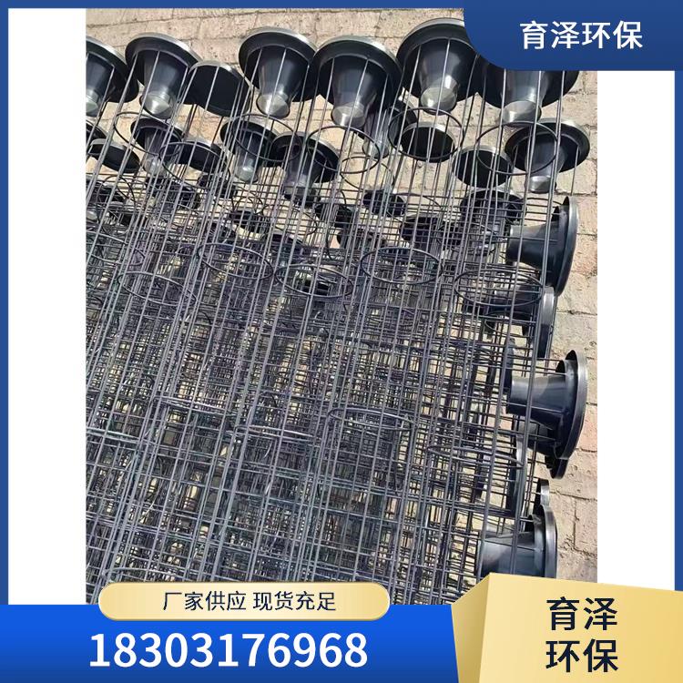 扁袋骨架