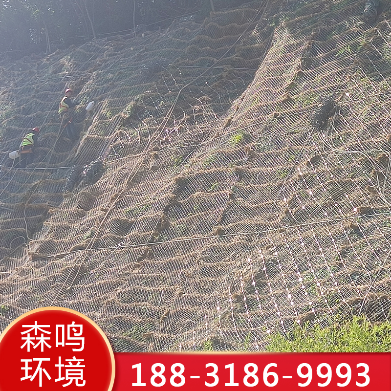 客土喷播 01