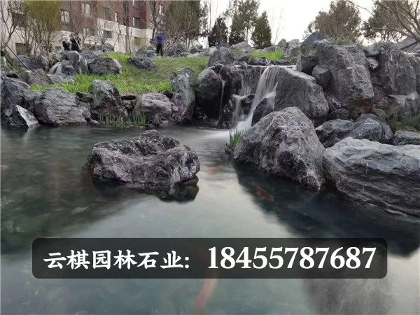 龟纹石