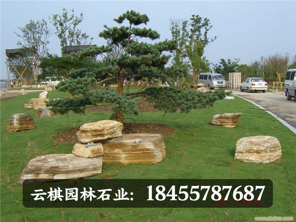 台州景观石D