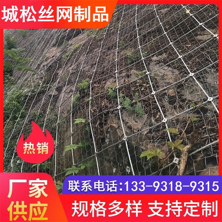 信阳主动防护网