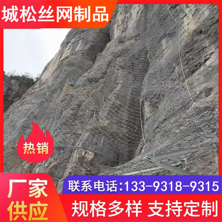 信阳主动防护网