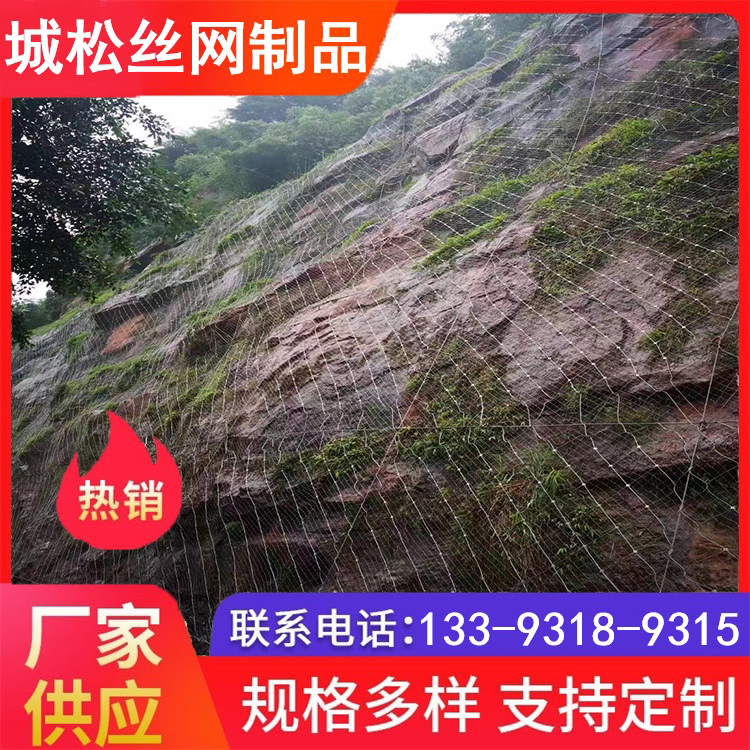 信阳主动防护网