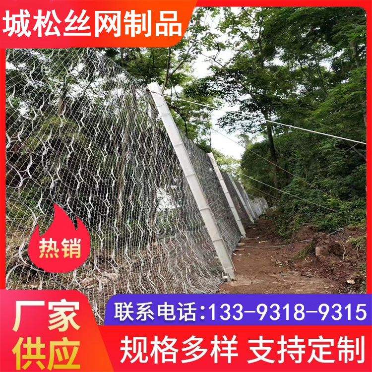 信阳主动防护网