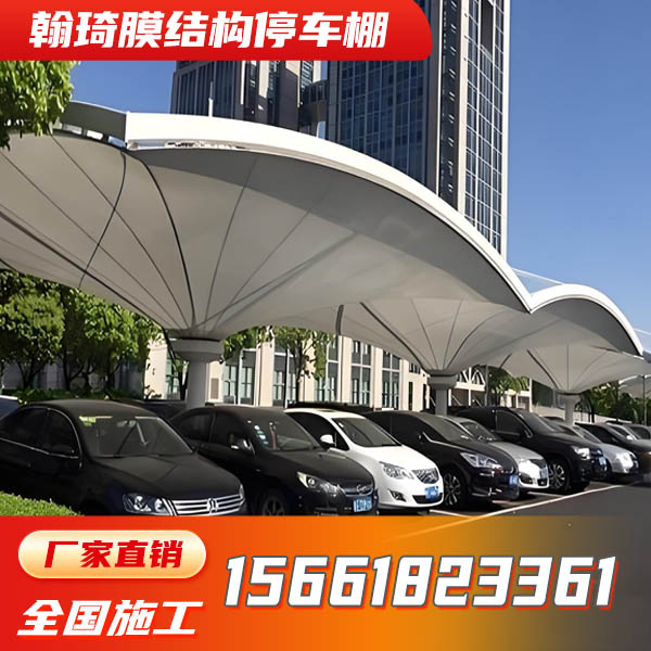 PTFE膜结构车棚-5