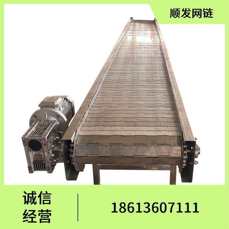 轻载链板输送机