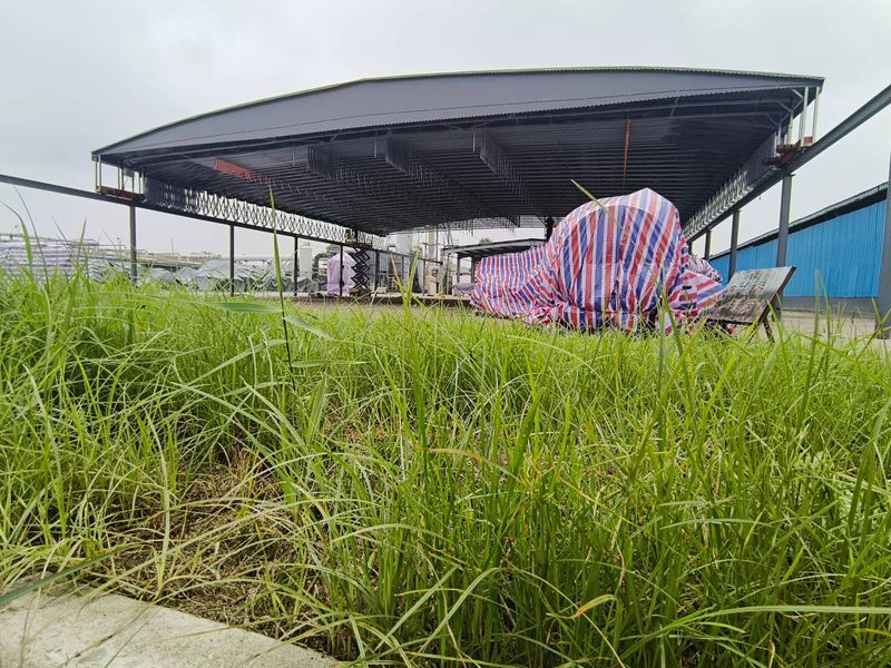 电动推拉雨棚展示图7